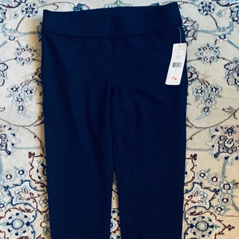 Stretch pants